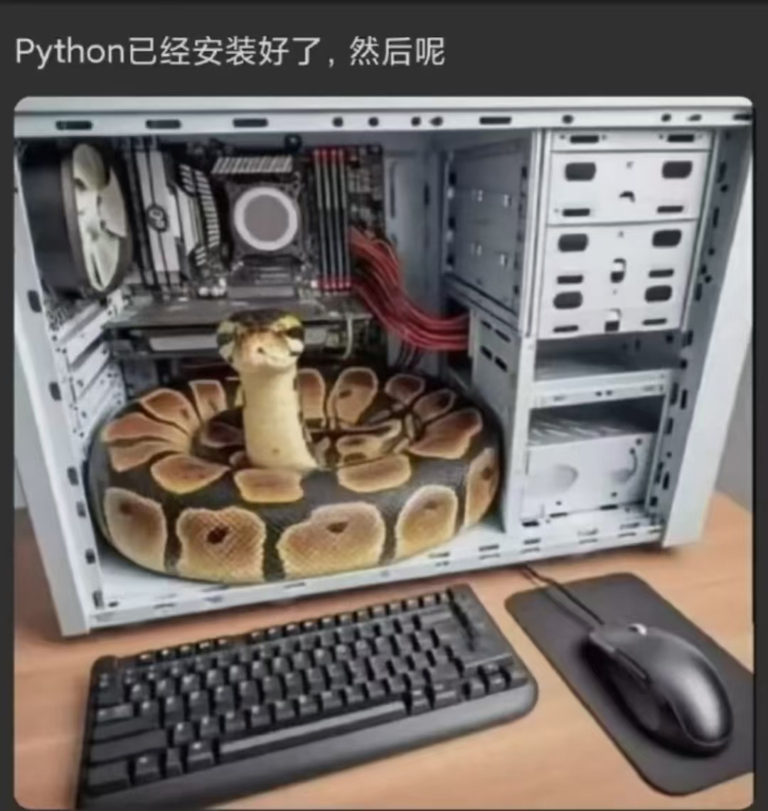 Python